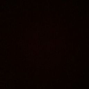 Meet your Posher, Tyonna